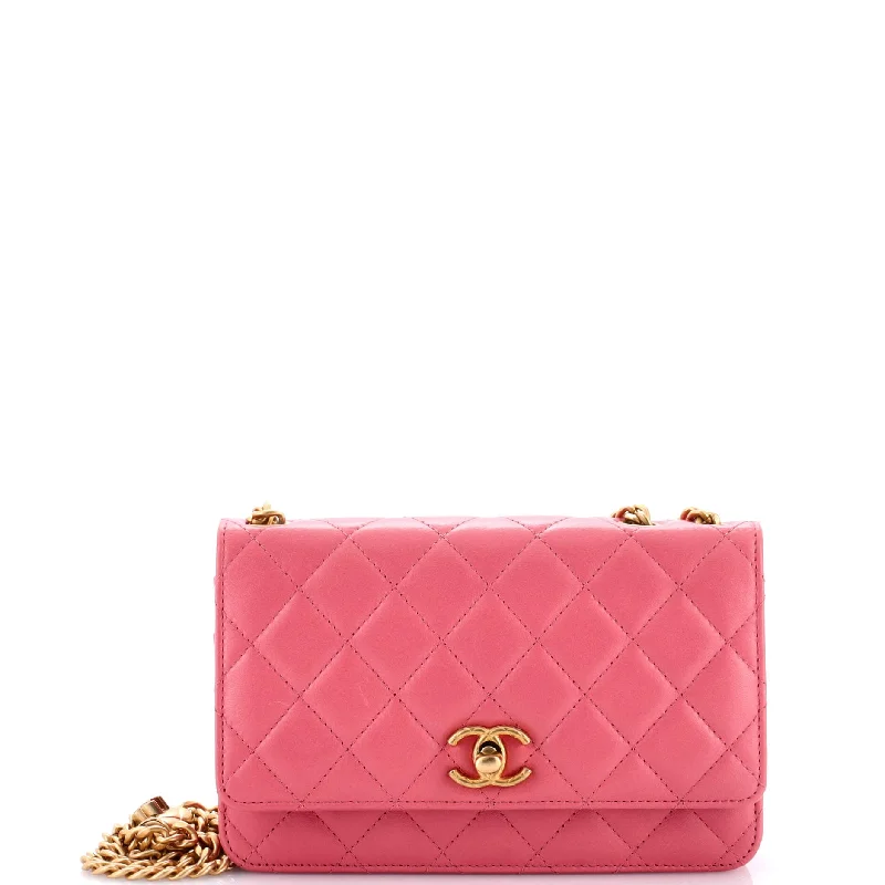 How to clean and maintain metal money clipsAll Slide Long Wallet on Chain Quilted Lambskin